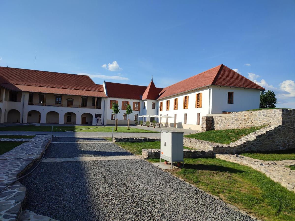 Brigaderos Hotel Brigadir Borsi المظهر الخارجي الصورة